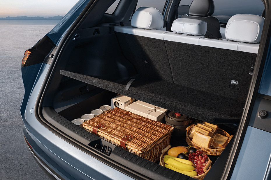 Intr GEELY STARRAY EM-I 4